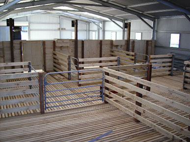 Kendrick Sheds - wool sheds and eco shelters